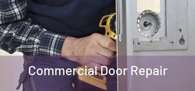 Commercial Door Repair