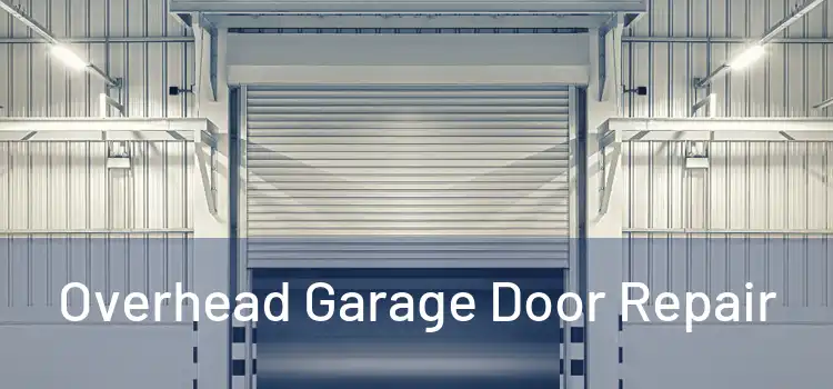 Overhead Garage Door Repair